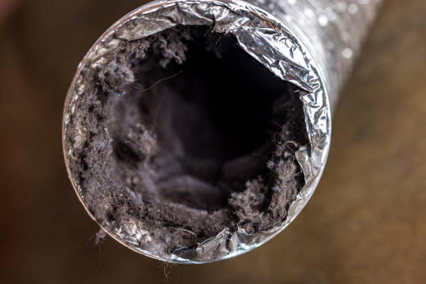Best Commercial Air Duct Cleaning  in Saxapahaw, NC
